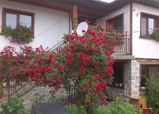 House Byalata kushta, Mostovo
