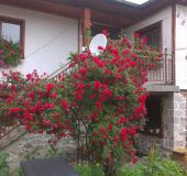 Бялата къща