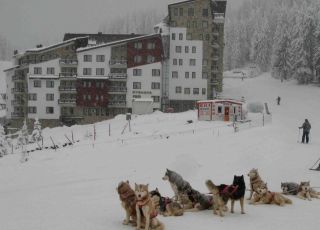 Apartment in Hotel Stenata, Pamporovo