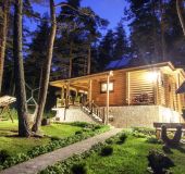 Вила Боровинка