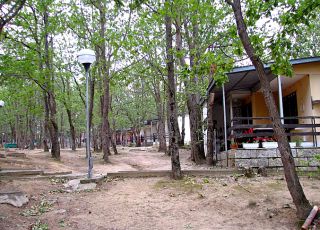 Bungalow Dabrava Bungalows, Shkorpilovtsi