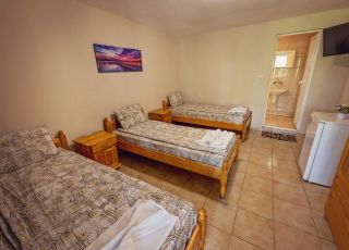 Bungalow Mecho uho, Shkorpilovtsi