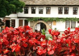 House Uniqa, Tryavna