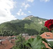 Семеен хотел Вит