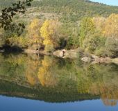 Къщи в селище Омая