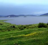 Вили Изгревът