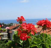 Семеен хотел Релакс