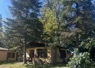 Bungalow Bungalows Ogosta, Shkorpilovtsi