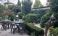 Петкови thumbnail 7