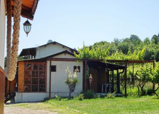 Вилно селище Лозята