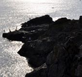 Апартаменти Виа Понтика 123