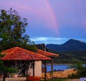 Комплекс Мимоза