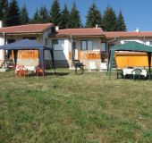 Вили Веселина