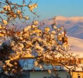 Семеен хотел Санто