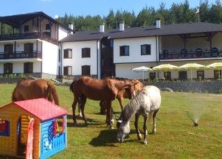 Family hotel The Rusalites Adventure House, Bachevo