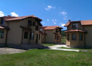House Tsigov Chark, Tsigov chark