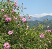 Къща Речен шепот