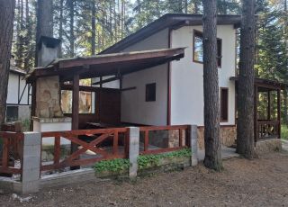 House Olimpiya, Tsigov chark