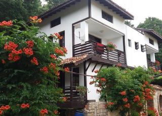 House Villa Nasco, Golden sands