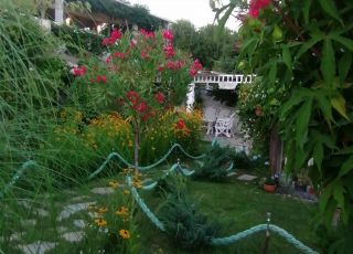 House Shabby, Varvara