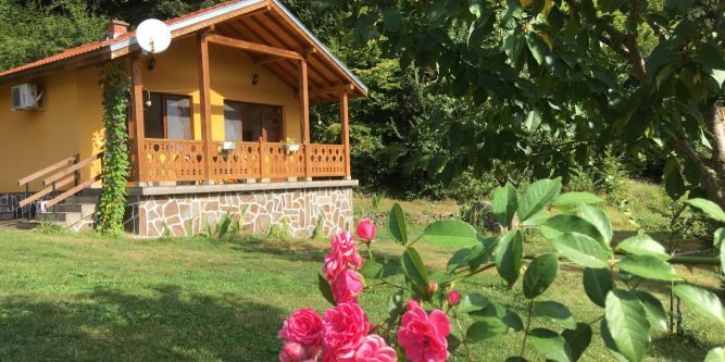 Бунгала Дара