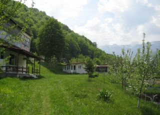 Bungalow Bungalows Zdravets, Berkovitsa