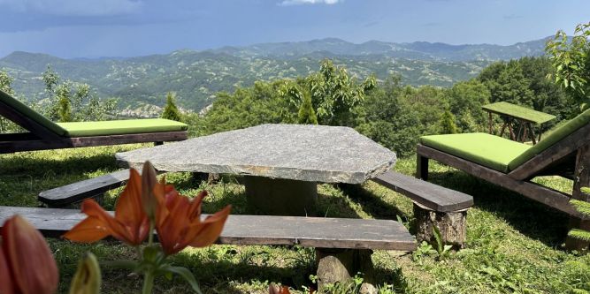 Караджовата къща