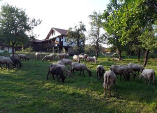 House Eco Chiflik Peevi, Apriltsi