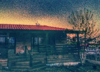Bungalow Green Light Bungalows, Arapya, Tsarevo