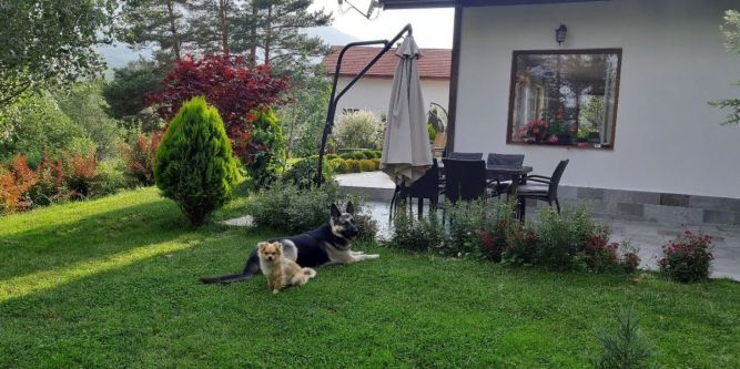 Вила Свети Георги