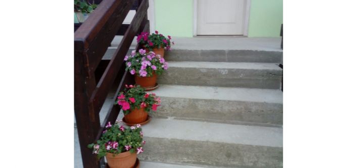 Стаи за гости с кухня