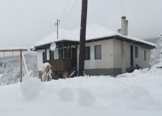 House Zahir, Blyskovtsi