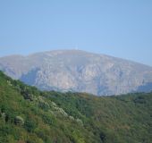 Семеен хотел Мечкарев