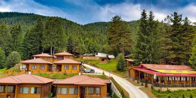 Вилно селище Ива