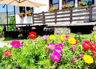House Avina Guest House, Kovachevica