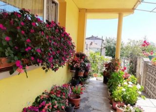 House Vitka's yellow house, Varvara