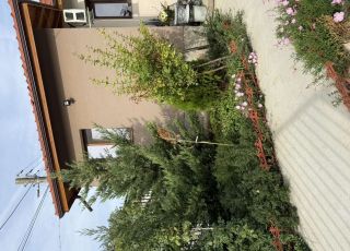 Separate room Central Guest rooms, Dolna Mitropolia