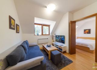 Apartment Mishel, Pamporovo