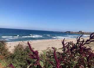 Бунгало Елия - къмпинг Юг