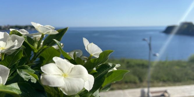 Апартамент Метеа