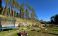 4U Luxury Villa thumbnail 3