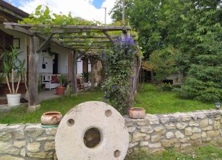 House Merlyka, Dobrina