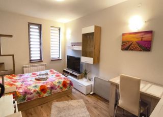 Tulip Studio Pamporovo