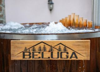 House Beluga Guest House, Velingrad