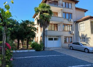 House Palms House, Primorsko