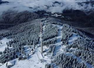 Студиа в Замъка и Грийн Лайф