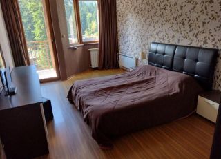 Apartment Rooms and apartments for rent, Borovets