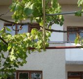 Стаи за гости Радост