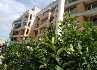 Apartment Dona, Sunny beach