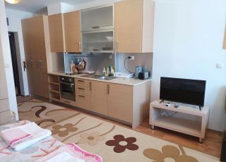 Apartment Studio Detelina Residence, Bansko